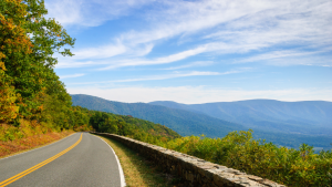 The Best Weeks of Summer: Late August on the Mountain wintergreen real estate shenandoah
