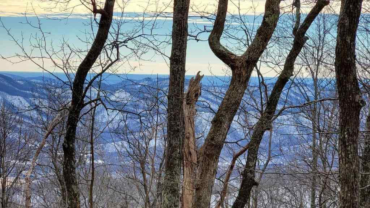 Wintergreen Real Estate