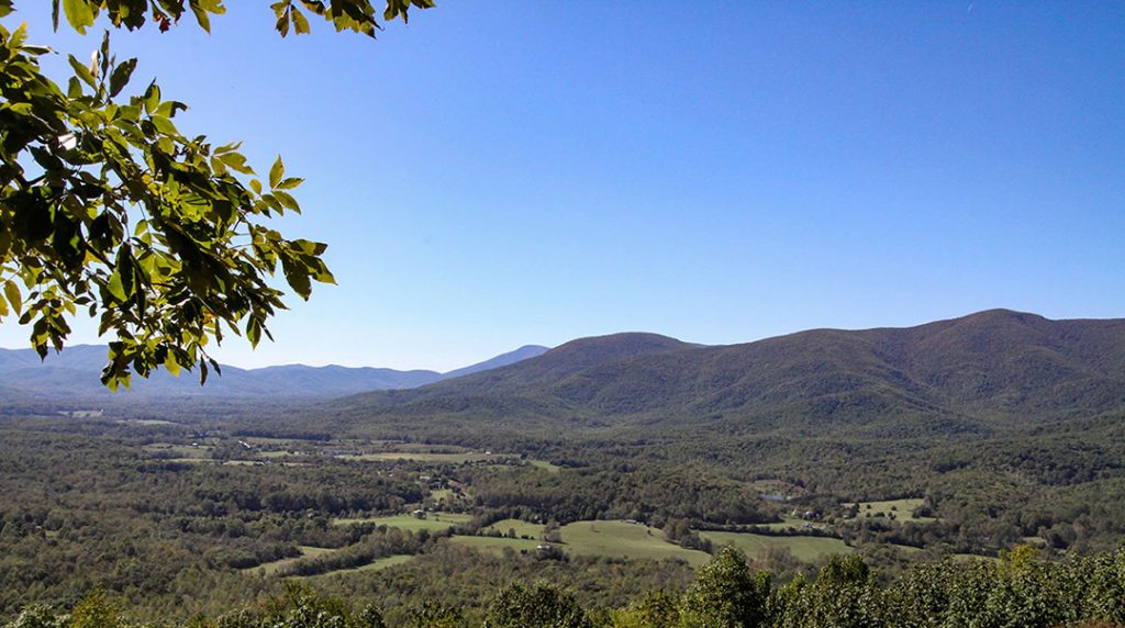 Wintergreen Real Estate